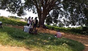 Gospel Evangelism