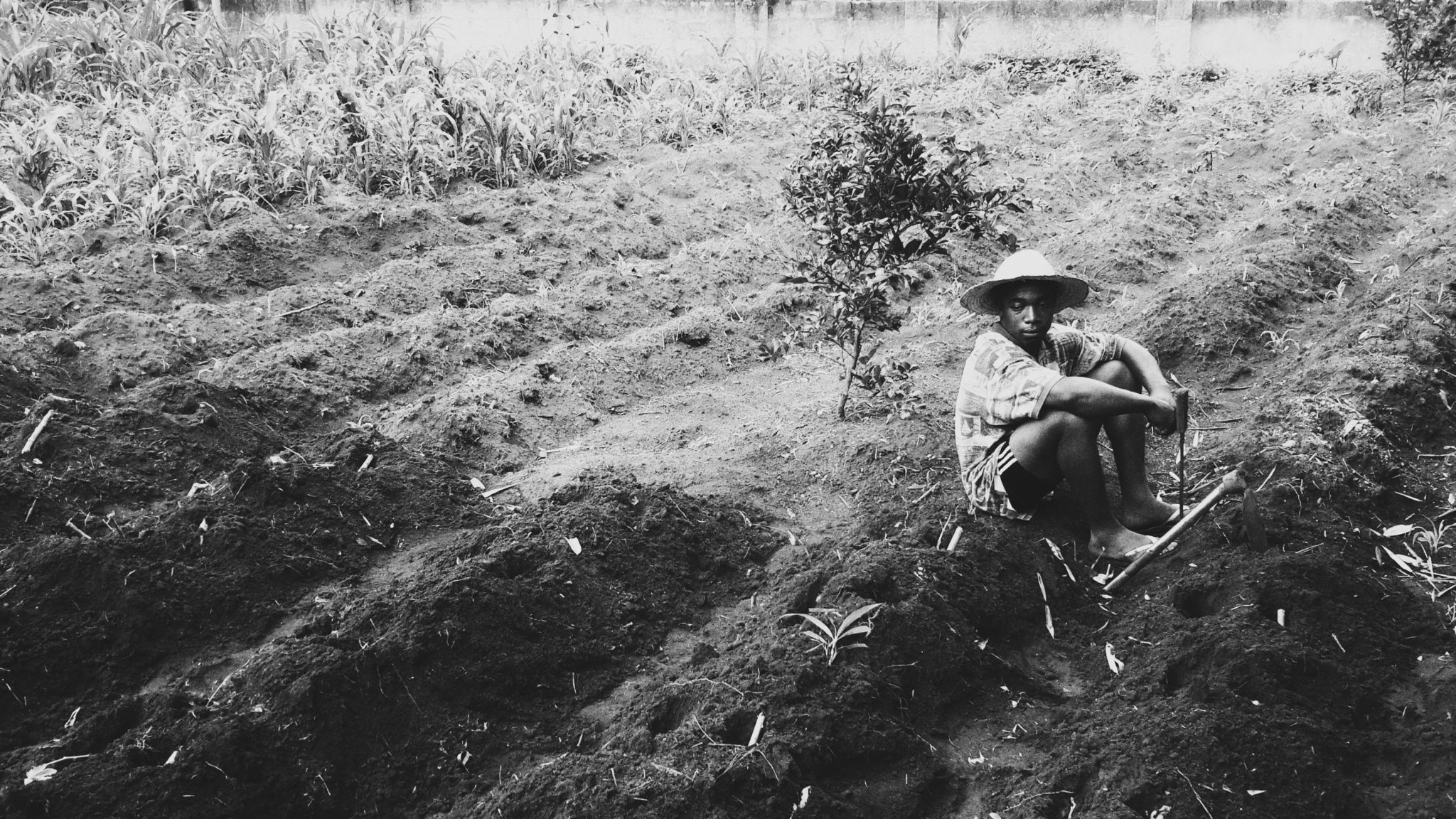 A young farmer takes a break in a rural Nigerian field, showcasing agricultural life.